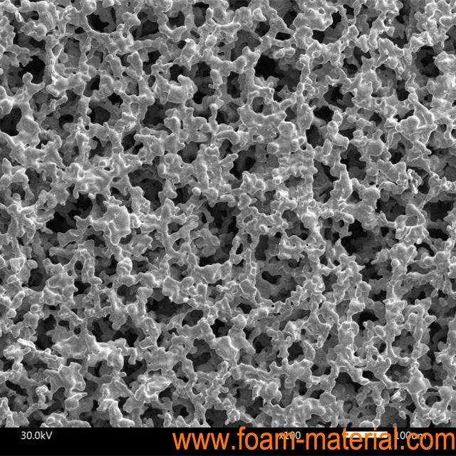 Ag Metal foam