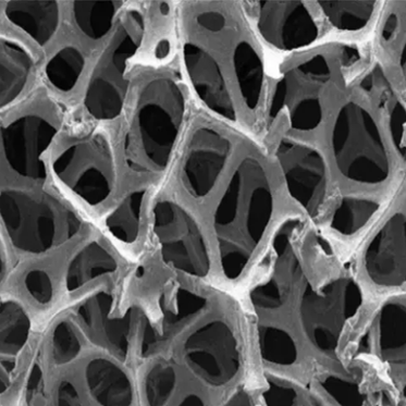 Graphene Foam